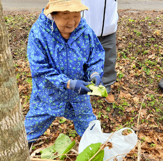 为还原日本文化下了大功夫！《羊蹄山》新增采菜玩法
