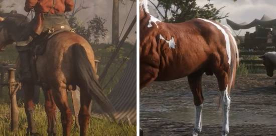 R星细节狂魔升级?马蛋细节引《GTA6》玩家脑洞大开