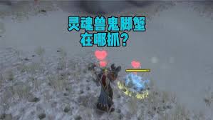 魔兽世界苍壳蟹在哪抓