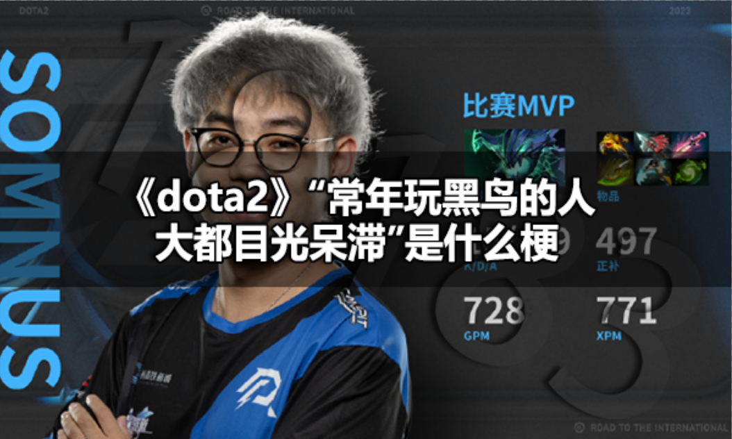 dota2常年玩黑鸟的人大都目光呆滞是什么梗