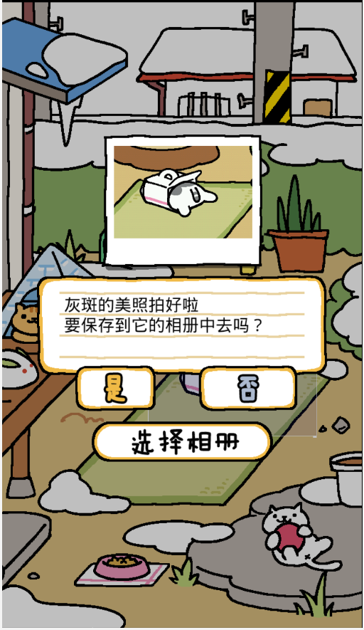 猫咪后院APP亮点