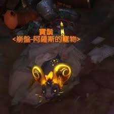 魔兽世界中狡猾的老鼠在哪抓