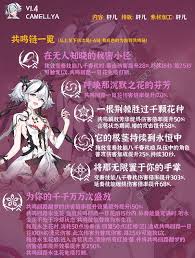 鸣潮椿队伍怎么搭配武器选择推荐