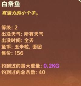 《猫猫钓游记》背包系统说明 背包机制介绍