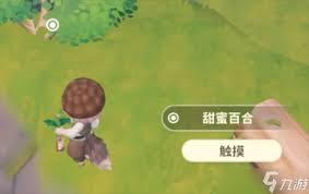 米姆米姆哈绮绿星火夜活动怎么玩
