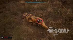 潜行者2如何获得无限物品CT表