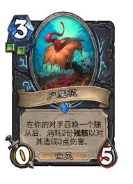 炉石传说漫游翡翠梦境DK有哪些卡牌