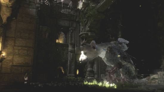 曝PS4独占佳作《最后的守护者》将改编电影！剧情感人让人想哭
