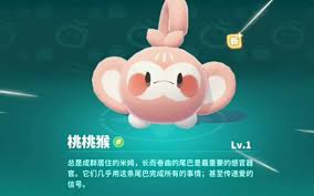 米姆米姆哈食物有哪些