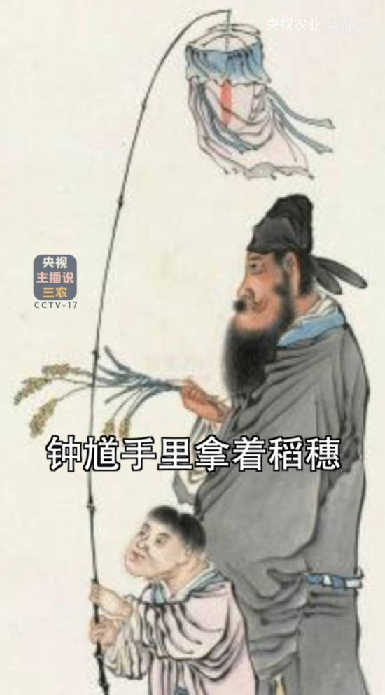 央视农业谈《黑神话：钟馗》：该让世界认识新IP了！